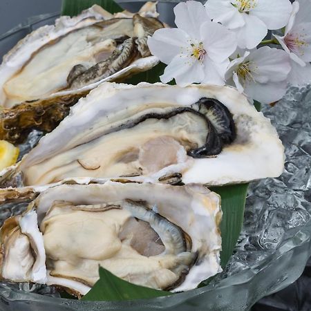 Oyo Ryokan Koijigahama Kuroshio Tahara Irago Hotel Kültér fotó